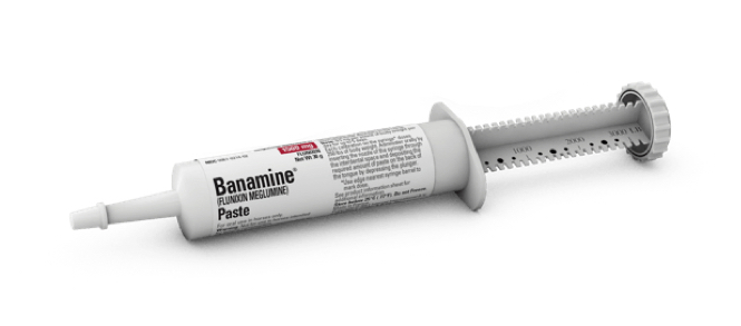 Banamine Paste
