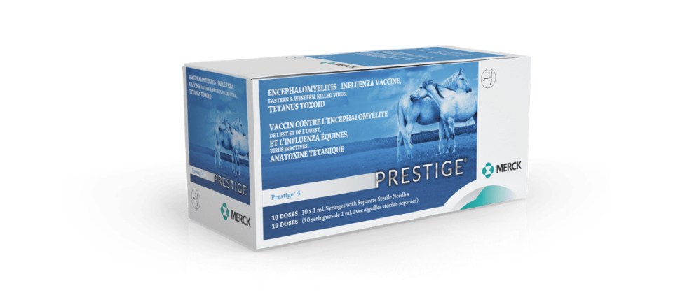 Prestige 4