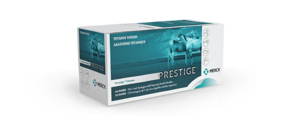 Prestige Tetanus