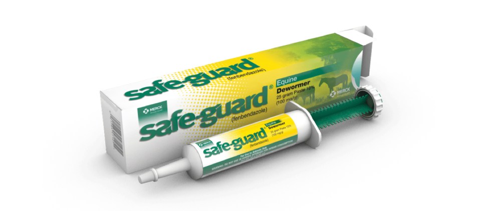 Safe-Guard Paste