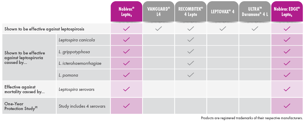 NOBIVAC EDGE® Lepto₄ Vaccine | Merck Animal Health USA