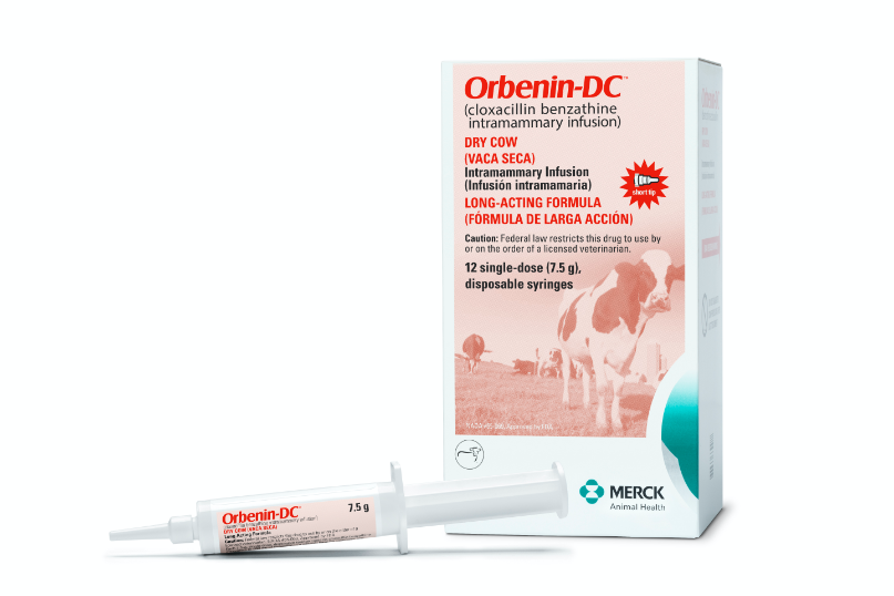 Orbenin-DC box and syringe