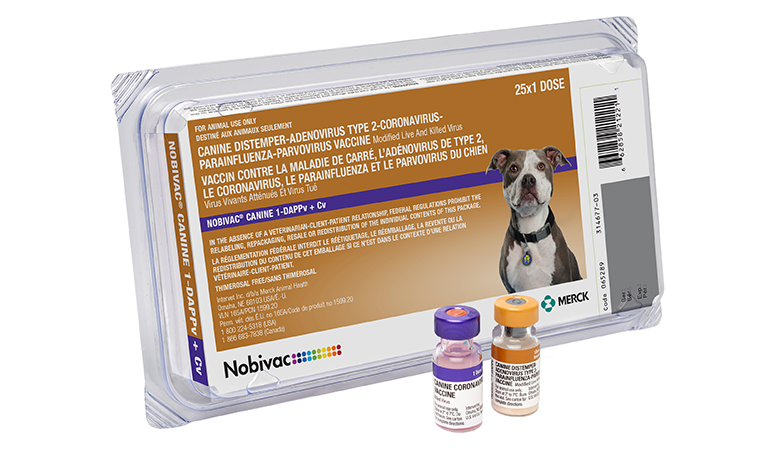What is dhp parvo vaccine for dogs cheap