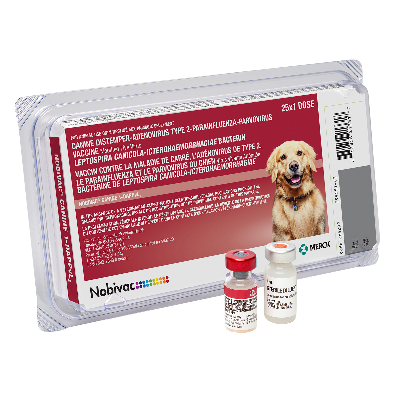Canine Parainfluenza: The Hidden Threat To Your Pet! - p5rwhs0