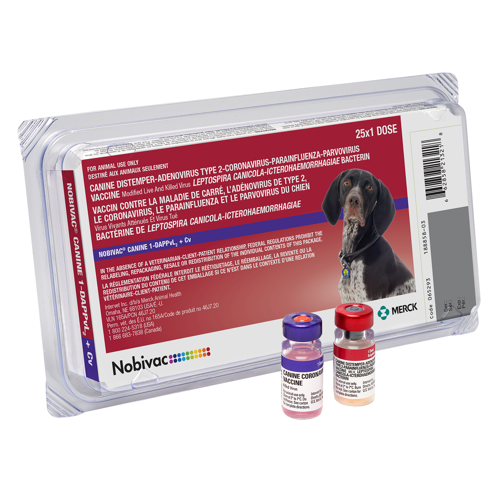 Canine Parainfluenza: The Hidden Threat To Your Pet! - lwfml94