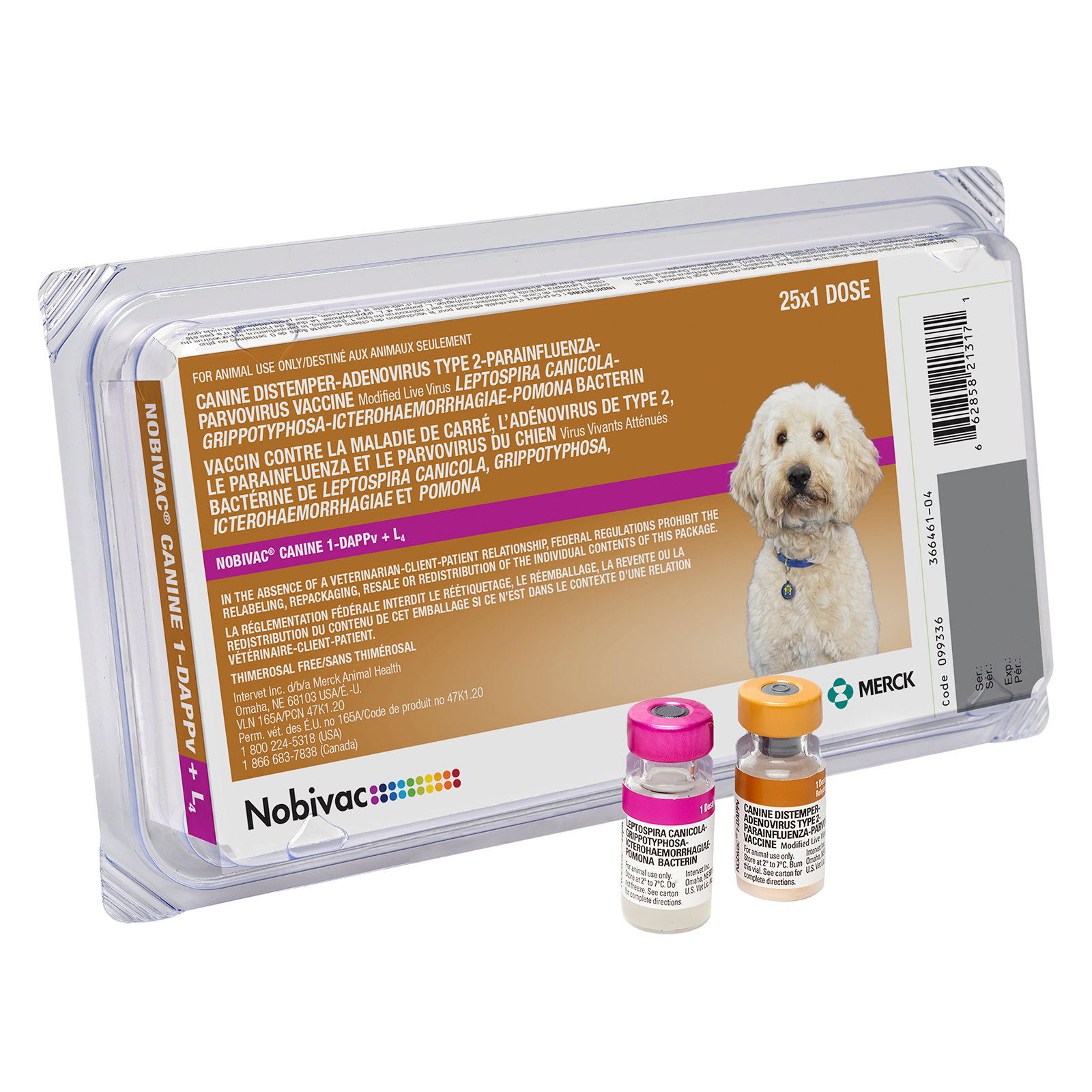 NOBIVAC® Lepto4 Vaccine | Merck Animal Health USA