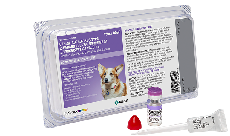 Intranasal bordetella vaccine shop for dogs