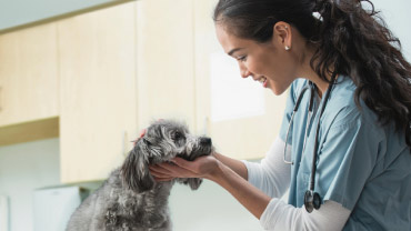 Girl holding the chin of a dog