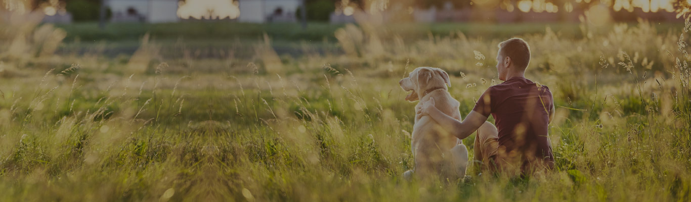 Spring into Flea Season