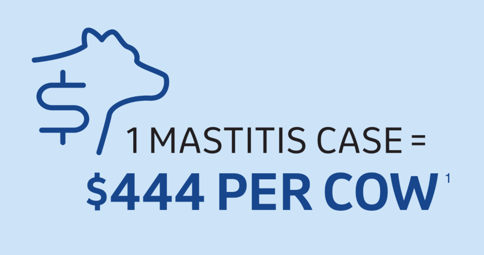 Amox-Mast Mastitis Graphic