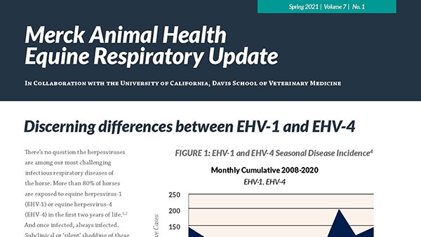 Merck Animal Health Equine Respiratory Update issue 7