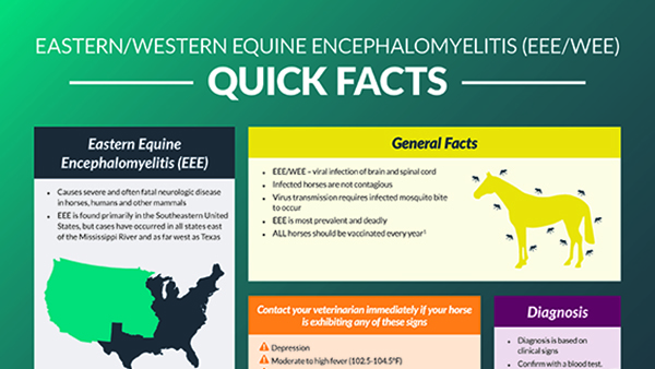 Easter/Western Equine Encephalomyelitis (EEE/WEE) quick facts