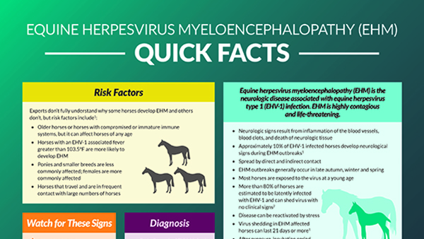 Equine Herpesvirus Myeloencephalopathy (EHM) quick facts