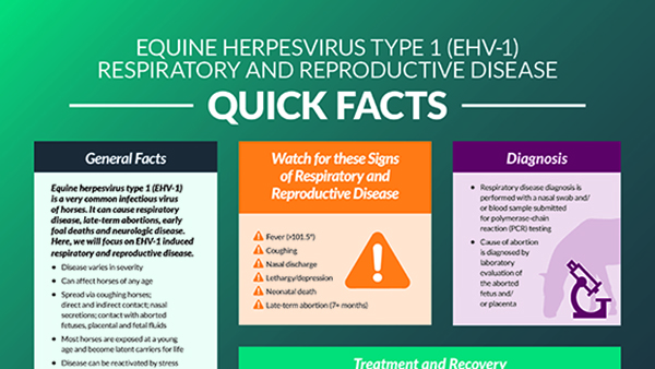 Equine Herpesvirus Type 1 (EHV-1) Respiratory and Reproductive Disease Quick Facts