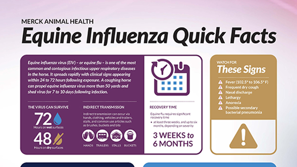 Equine Influenza Quick Facts