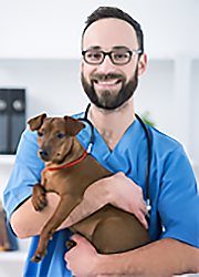 NOBIVAC EDGE DAPPv + L | Merck Animal Health USA