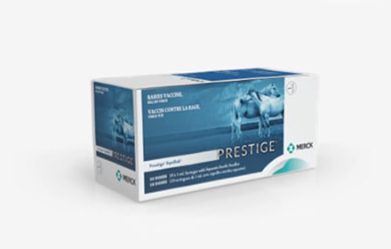 PRESTIGE® EquiRab ER product