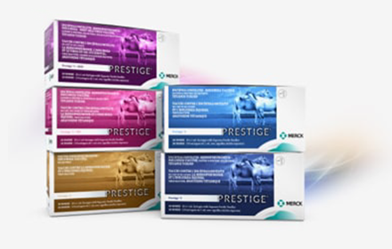 PRESTIGE® Multiple Antigen Combinators products