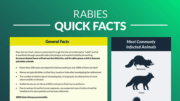 Rabies Quick Facts