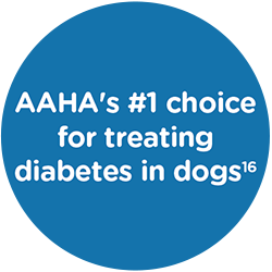 AAHA's #1 choice dog badge in blue