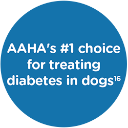 normal blood glucose levels for cats and dogs