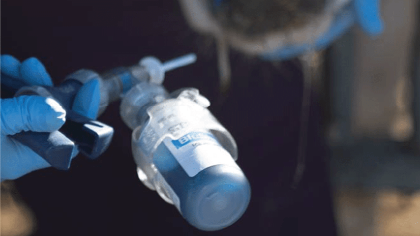 Vaccine protection for respiratory issues comes through in tough weather for cows