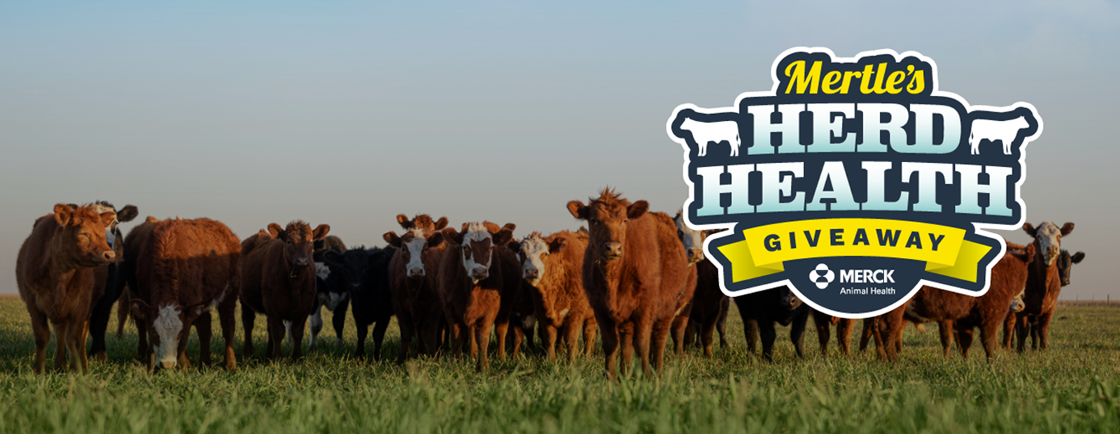 Herd Health 2021
