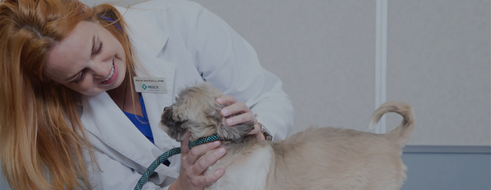 Providing veterinary professionals with the latest technical knowledge and quality CE