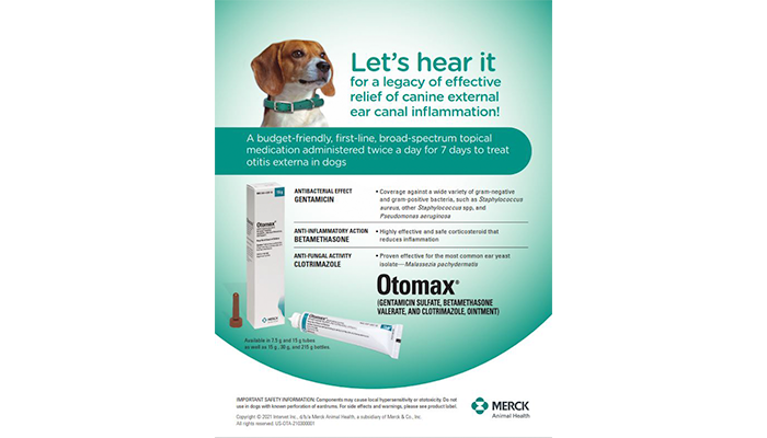 otomax dog otomax dog