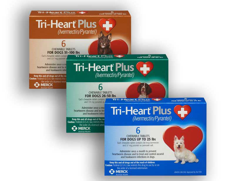 tri-heart-plus-chewable-tablets-ivermectin-pyrantel-merck-animal