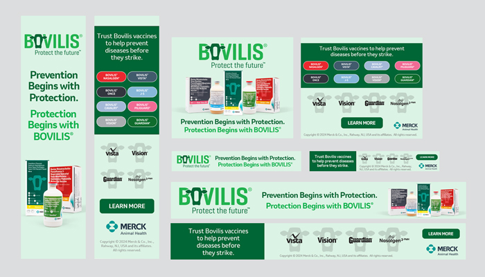 Bovilis digital banner ads header