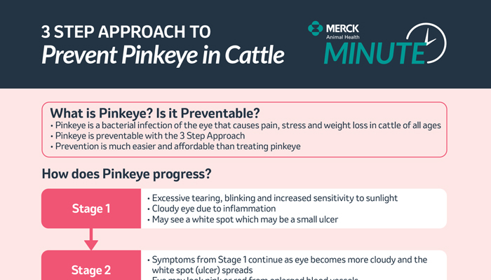 Pinkeye prevention chart