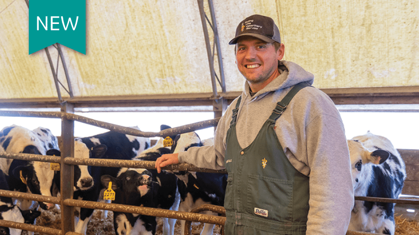 Why veterinarians trust intranasal vaccinations for young calves
