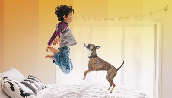 Young boy jumping on a bed