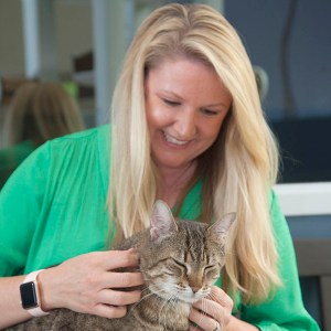 Dr. Debra Olbrich meet the team
