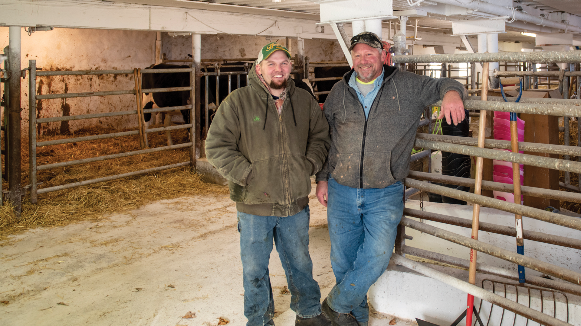 Successful reproductive management in dairy cattle