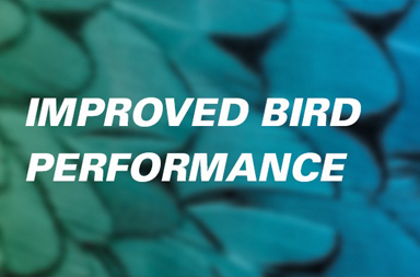 improved bird performance
