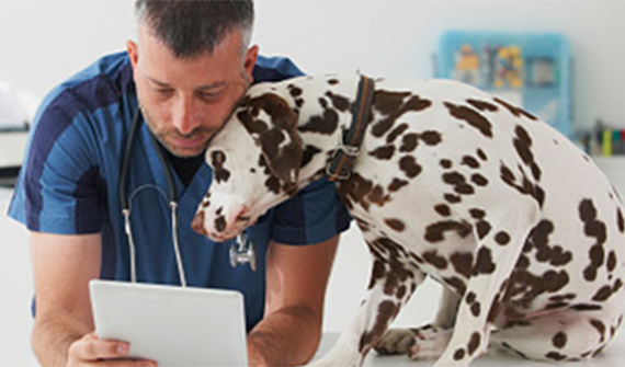 a veterinarian and Dalmatian reading a page