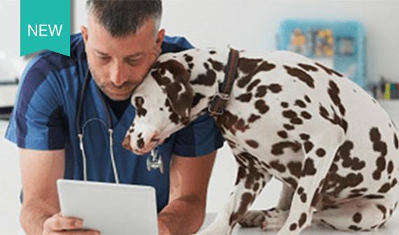 a veterinarian and Dalmatian reading a page