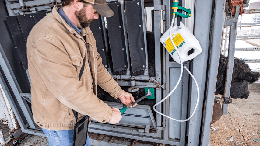 Predicting and managing BRD in cattle with technology