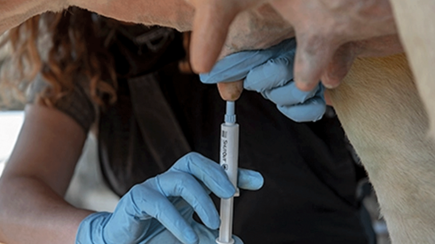 Benefits of using an internal sealant