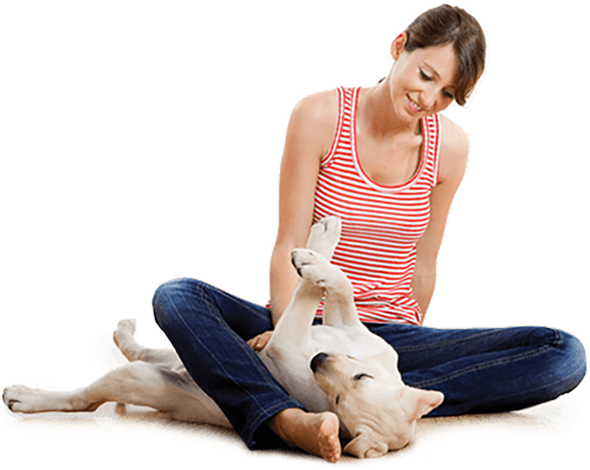 pet owner playing with her faithful dog in a loving manor