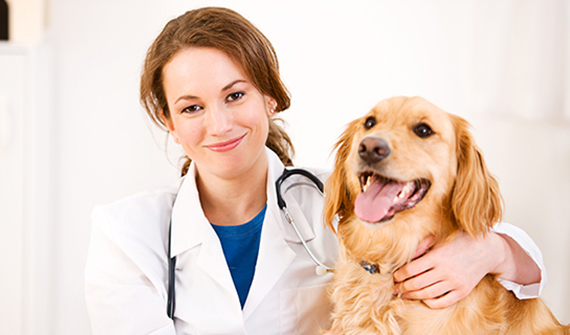 female veterinarian with arm around happy dog