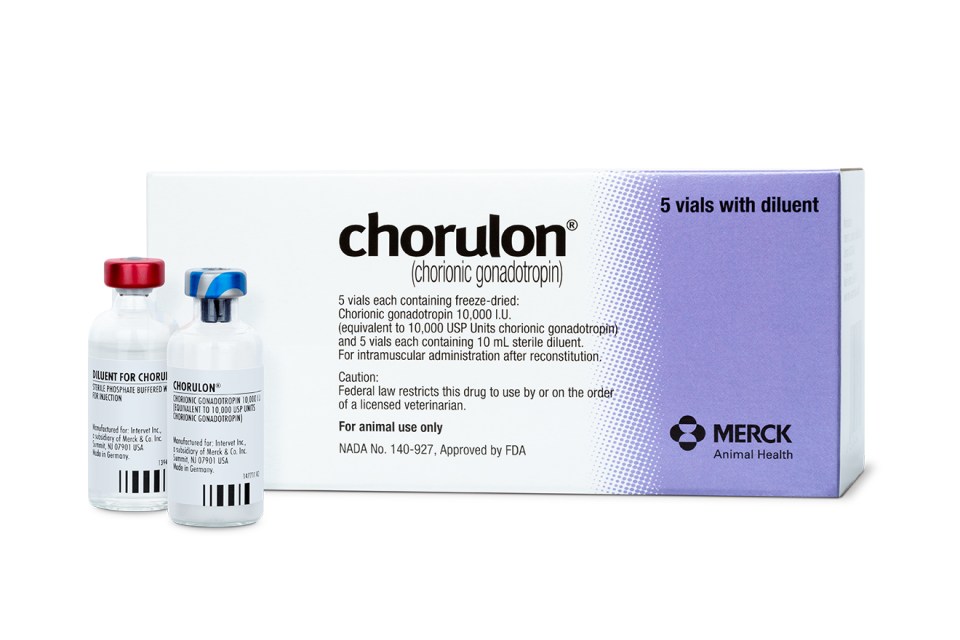 CHORULON® | Merck Animal Health USA