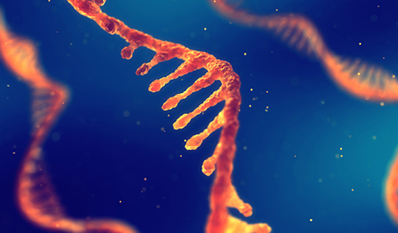 Close up view of RNA chain