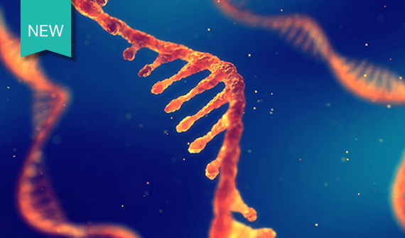 Close up view of RNA chain