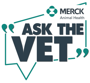 Ask-A-Merck-Vet-logo.png