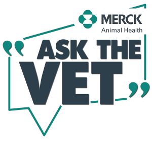 Ask-A-Merck-Vet-logo.png