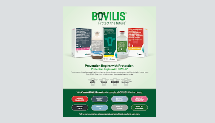 Bovilis Print Ad
