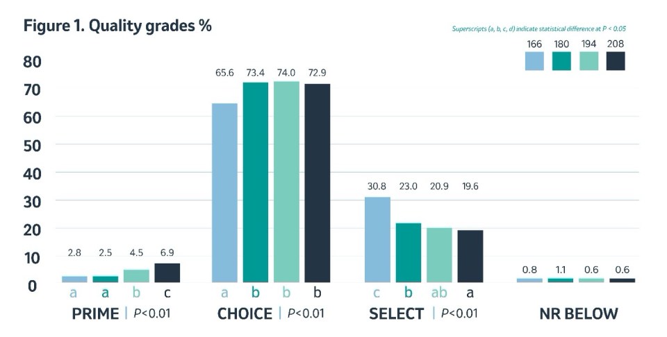 Quality grades cattle percentage graph